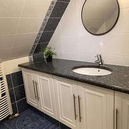 Stort Eksklusivt Vaerelse Med Eget Tekokken Apartmán Ikast