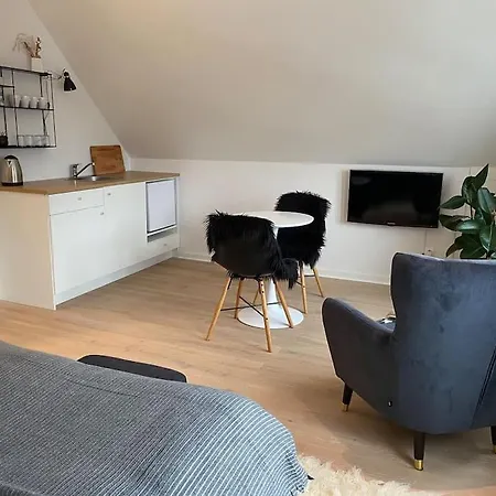 Stort Eksklusivt Vaerelse Med Eget Tekokken Appartement Ikast