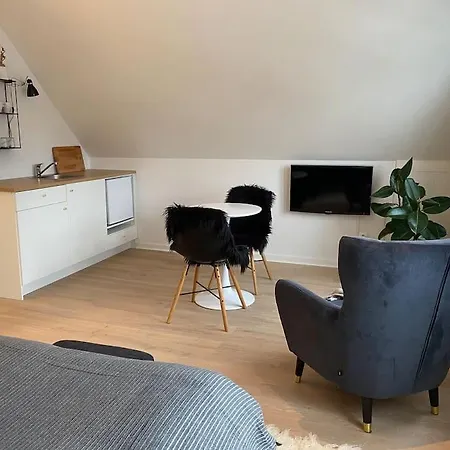 Stort Eksklusivt Vaerelse Med Eget Tekokken Ikast